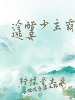 冷酷少主霸宠小逃妻