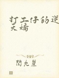 打工仔的逆袭楚天娇