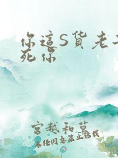 你这S货老子C死你