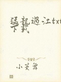 猛龙过江txt下载