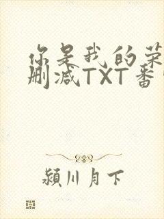 你是我的荣耀未删减TXT番外