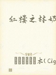 红楼之林奶奶