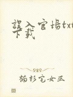 误入官场txt下载