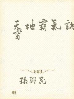 天地霸气诀无弹窗