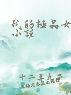 我的极品女老师小说