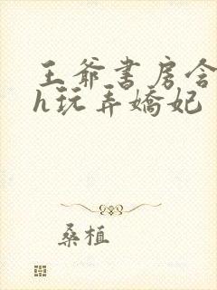 王爷书房含乳尖h玩弄娇妃