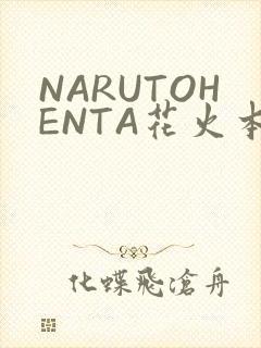 NARUTOHENTA花火本子