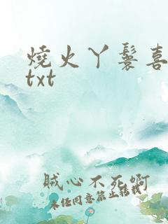 烧火丫鬟喜洋洋txt