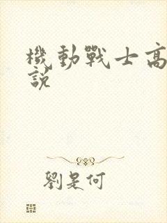 机动战士高达小说