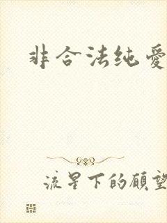 非合法纯爱