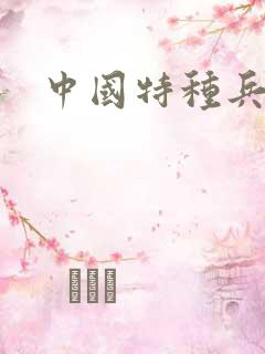 中国特种兵小说