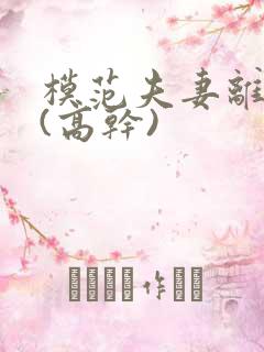 模范夫妻离婚了(高干)