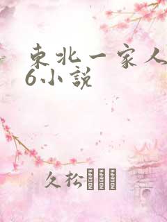 东北一家人1一6小说