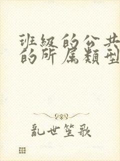 班级的公共小0的所属类型