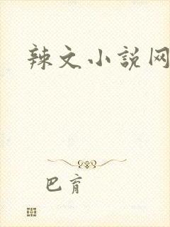 辣文小说网