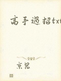 高手过招txt