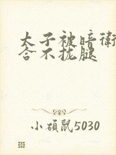 太子被暗卫c到合不拢腿