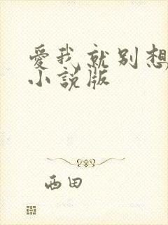 爱我就别想太多小说版