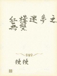 红楼迷梦之国士无双