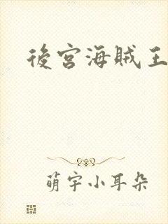 后宫海贼王