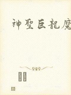 神圣巨龙魔法师