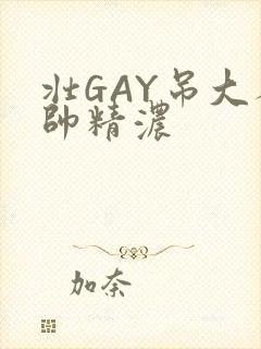 壮GAY吊大人帅精浓