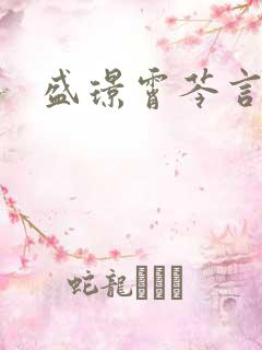 盛璟霄芩言小说