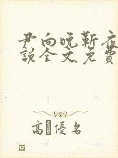 尹向晚靳夜擎小说全文免费阅读无弹窗