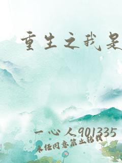 重生之我是战机