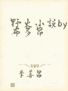 野火小说by夏布多昂