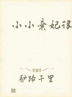 小小弃妃很倾城