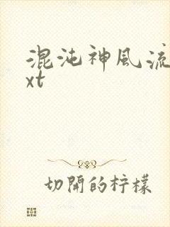 混沌神风流史txt