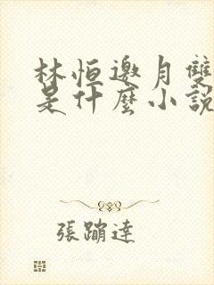 林恒邀月双胞胎是什么小说