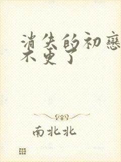 消失的初恋为啥不更了