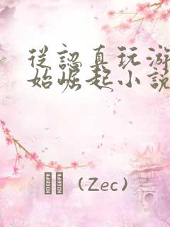 从认真玩游戏开始崛起小说