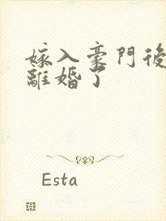 嫁入豪门后我又离婚了