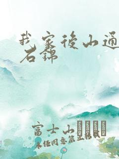 我家后山通仙界石锦