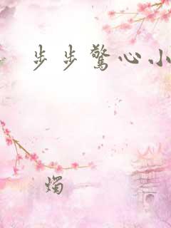 步步惊心小说2