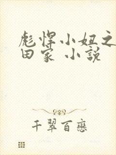 彪悍小妞之鱼水田家 小说