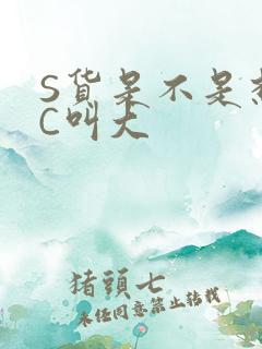 S货是不是想挨C叫大