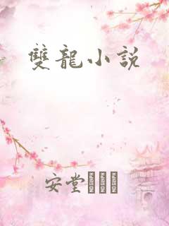 双龙小说