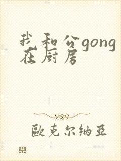 我和公gong在厨房