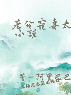 老公宠妻太甜蜜 小说