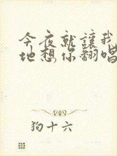 今夜就让我狠狠地想你翻唱版本