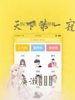 天下第一宠漫画