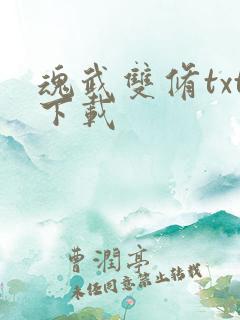 魂武双修txt下载