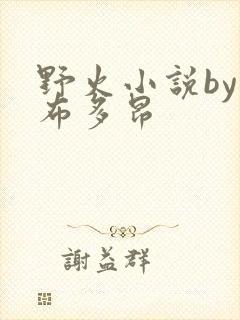 野火小说by夏布多昂