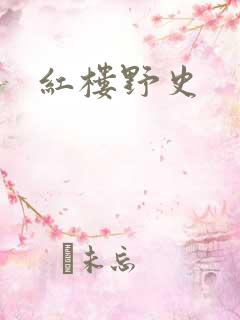 红楼野史