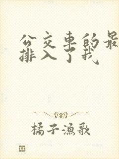 公交车的最后一排入了我