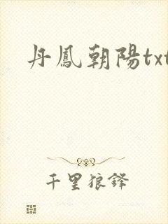 丹凤朝阳txt